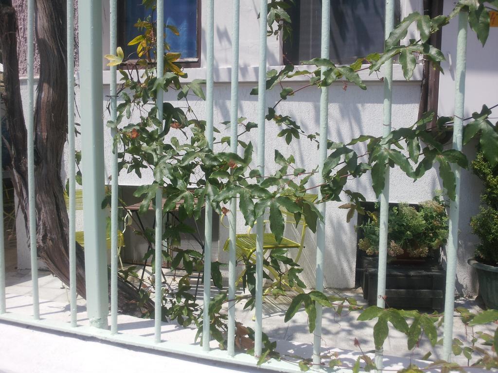 Old House Hostel Burgas Bagian luar foto